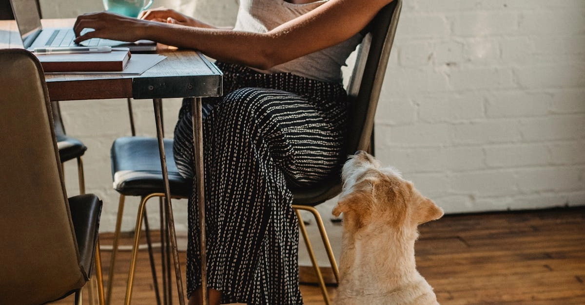 The Dog House Megaways слот с яркими игровыми впечатлениями